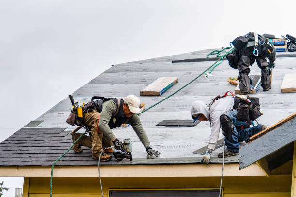 Professional Roofing technician working in Machesney Park, IL